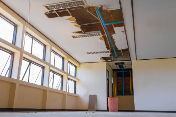 Best Flood damage cleanup  in Bellingham, WA