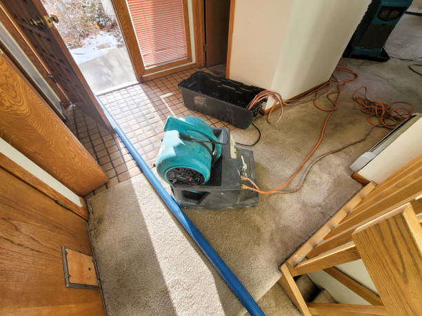 Best Residential water damage restoration  in Bellingham, WA
