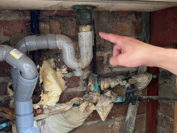 Best Professional water damage repair  in Bellingham, WA